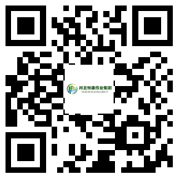 河北恒康偉業集團
